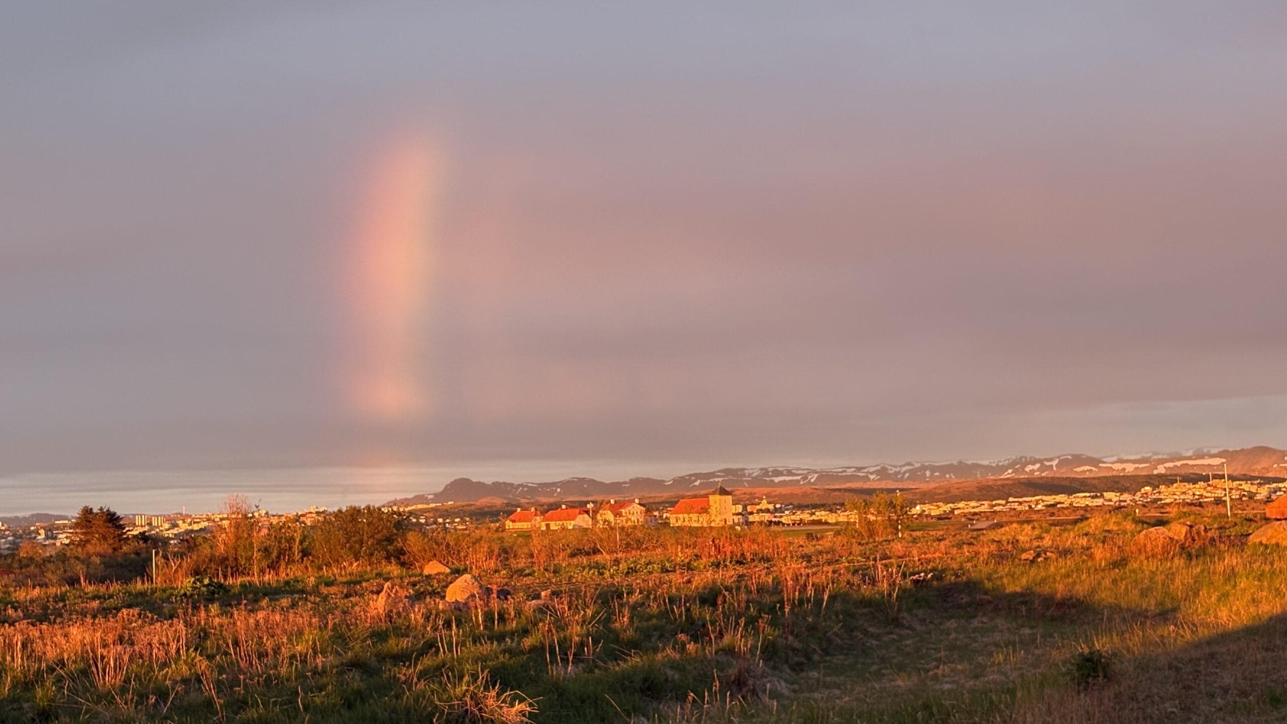 Reykjavik and Icelnd landscape on a private day tour